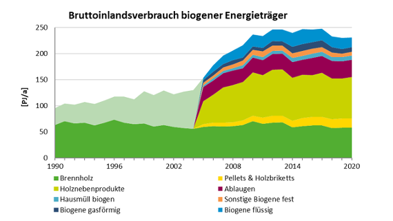 Bruttoinlandsverbrauch biogener Energieträger