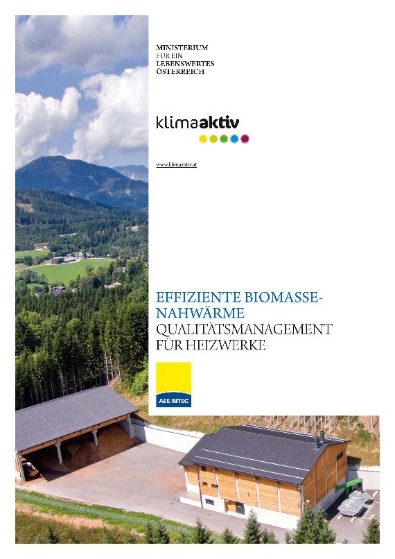 Titelblatt "Effiziente Biomassenahwärme"