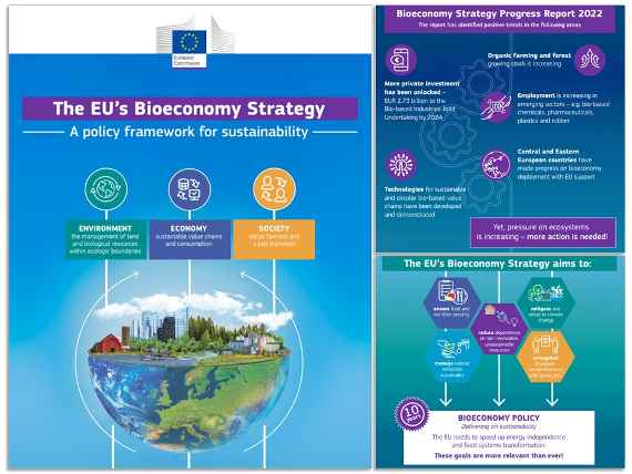 Info-Grafik EU-Progress Report