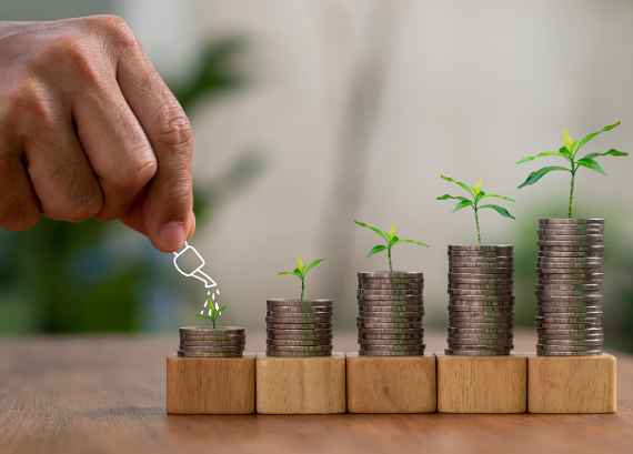 Watering the plants on stacking coins, and company finance and saving money investment concept. Growing Money is a Plant on Coins idea.