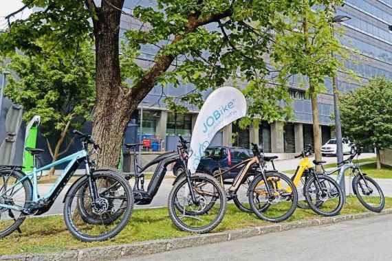 Mehrere verschiedenfärbige Berufsfahrräder unter einem Baum vor dem Firmengebäude.