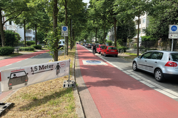 Rot markierte Fahrradstraße mit Bäumen an beiden Rändern und als Wegteiler in der Mitte der Straße
