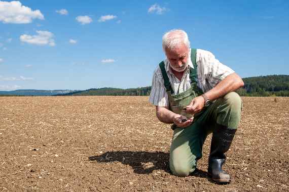 A farmer looks skeptically at his freshly sown field and thinks about next year's harvest