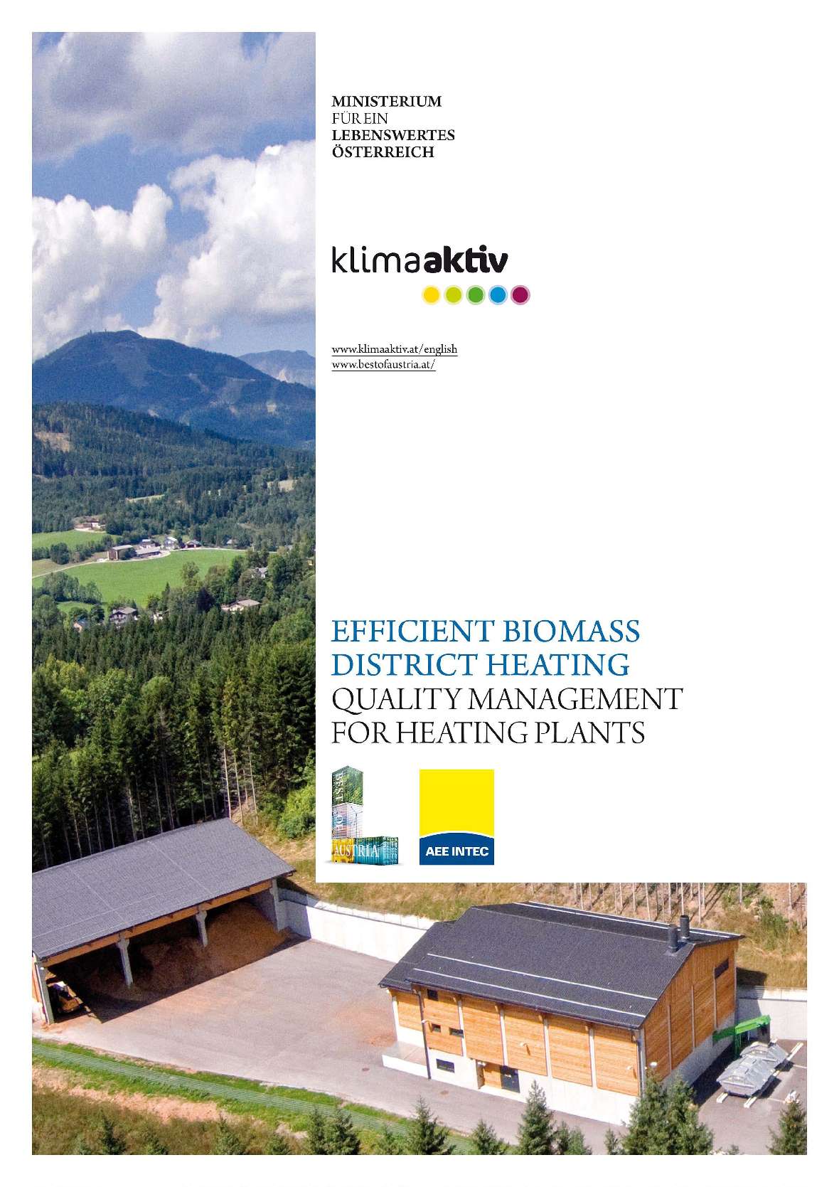 Titelbild Broschüre Efficient Biomass District Heating