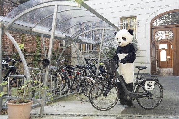 Auf dem Foto ist ein Mensch im Pandakostüm abgebildet, der sein E-Fahrrad bei der neu errichteten überdachten Fahrradabstellanlage im Innenhof des Umweltverbands WWF abstellt.