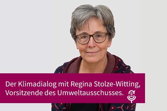 Regina Stolze-Witting