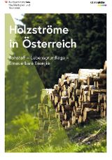 Cover Folder Holzströme in Österreich