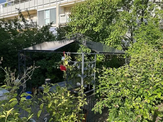 Photovoltaikanlage auf einer modernen Pergola im Garten, umgeben von üppigem Grün und einem Wohngebäude im Hintergrund.
