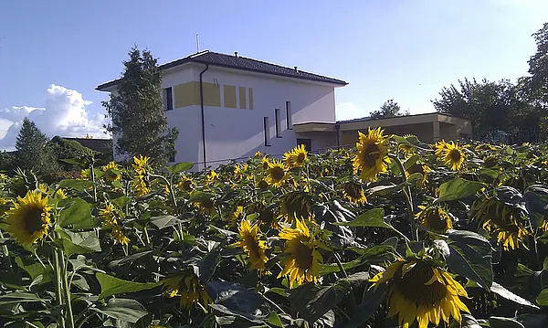 EFH Kummerer