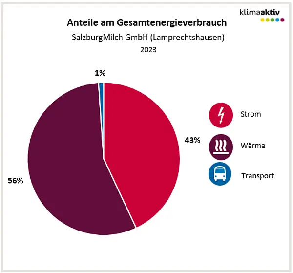 Abbildung 1: Aufteilung Gesamtenergieverbrauch in die Bereiche Strom, Wärme und Transport 2023