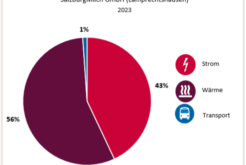 Abbildung 1: Aufteilung Gesamtenergieverbrauch in die Bereiche Strom, Wärme und Transport 2023