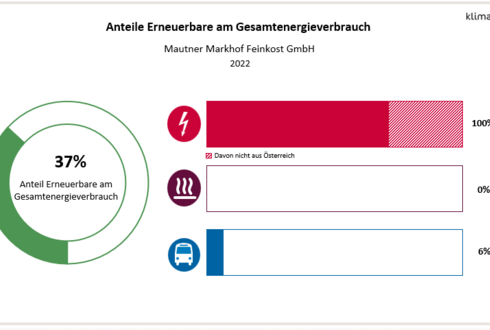 Abbildung 2: Anteil Erneuerbare am Gesamtenergieverbrauch und in den Bereichen Strom, Wärme und Transport 2023