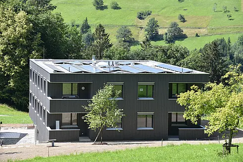 Dafins Haus B