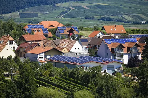 Viele Dächer umgeben von vielen Bäumen. Auf jedem Dach ist eine Solaranlage