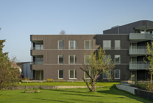 V202 Lustenau "Rheindorf West"