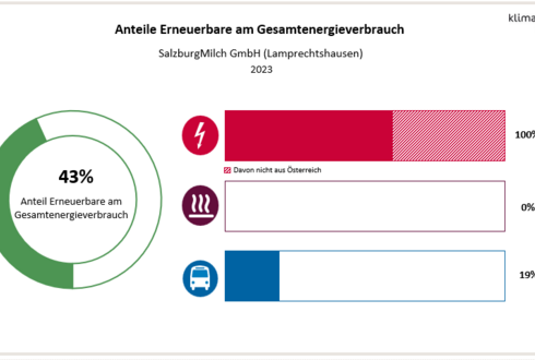 Abbildung 2: Anteil Erneuerbare am Gesamtenergieverbrauch und in den Bereichen Strom, Wärme und Transport 2023