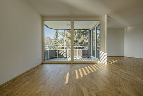 V202 Lustenau "Rheindorf West"