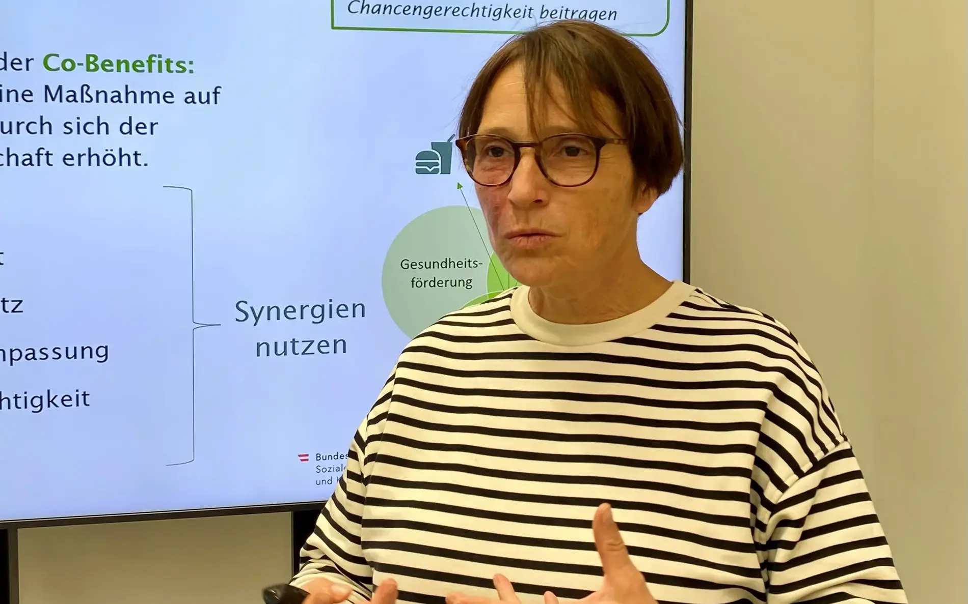 Ilonka Horvath bei einem Vortrag der GÖG