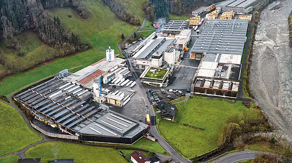 Vogelperspektive Mayr-Melnhof Holz Reuthe GmbH