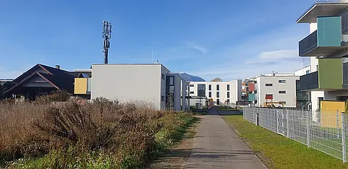 Neubau Lindenweg VI - Haus D