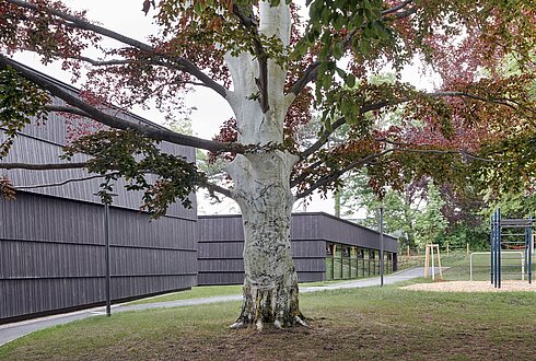 Turnhalle - Modellschule Gersthof