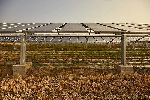 eine Agri-PV Anlage