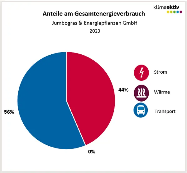 Abbildung 1: Aufteilung Gesamtenergieverbrauch in die Bereiche Strom, Wärme und Transport 2023