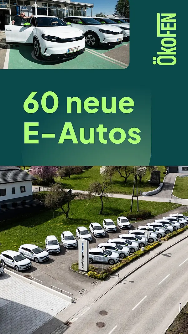 Werbesujet, 60 neue elektrische Autos bei ÖkoFEN, Foto von Fahrzeugen