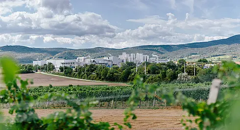 Panoramasicht auf die NÖM AG