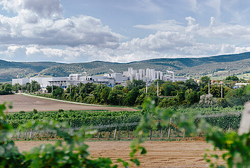 Panoramasicht auf die NÖM AG