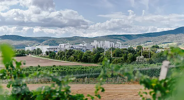 Panoramasicht auf die NÖM AG