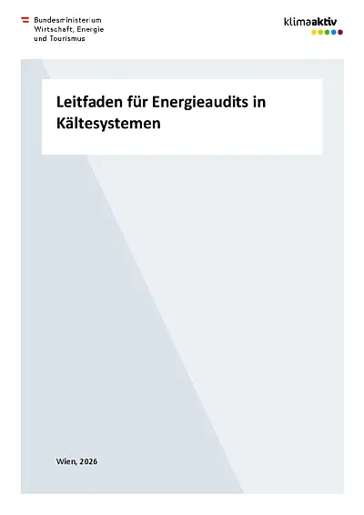 Publikation zu Energieaudits Kältesysteme