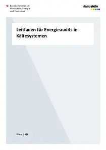 Publikation zu Energieaudits Kältesysteme