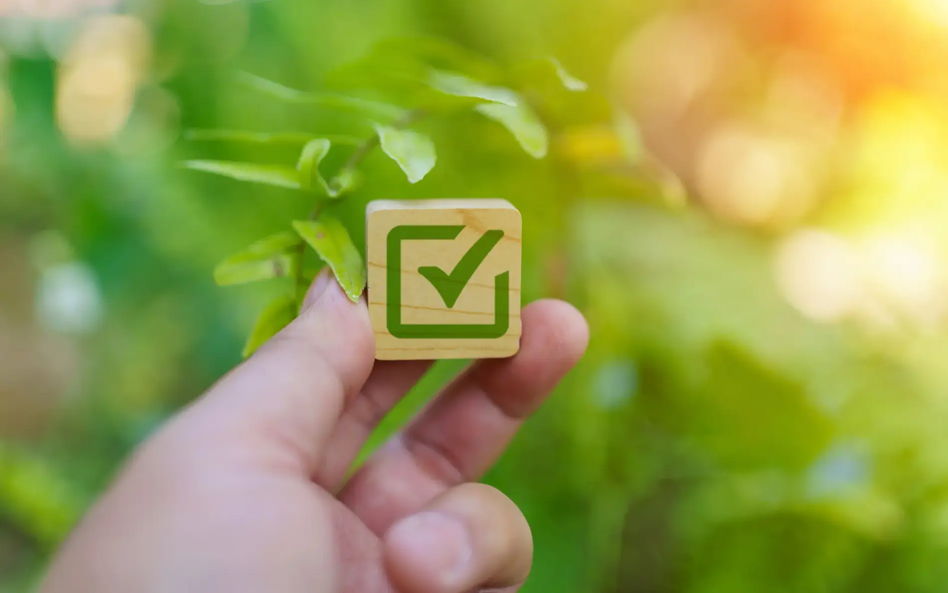 Eine Hand hält einen Holzblock mit grünem Häkchen vor einem Hintergrund aus Blättern.