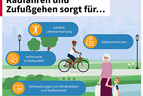 Die Grafik zeigt eine grüne Parklandschaft mit Wegen, Bäumen und Laternen. Im Vordergrund fährt eine Person mit Helm Fahrrad, daneben gehen eine ältere Frau und ein Kind spazieren. In farbigen Infoboxen sind gesundheitliche Vorteile von Radfahren und Zufußgehen dargestellt. Diese beinhalten eine erhöhte Lebenserwartung, verbesserte Schlafqualität, stärkere Knochen sowie Verbesserungen von Herz-Kreislauf-System und Stoffwechsel. Oben steht in großer Schrift der Titel „Radfahren und Zufußgehen sorgt für…“. Die Grafik ist Teil der Initiative „klimaaktiv mobil“. Unten befindet sich der Hinweis auf die Webseite „route.klimaaktivmobil.at“, wo weitere Informationen zu den gesundheitlichen Effekten von Alltagswegen abrufbar sind.