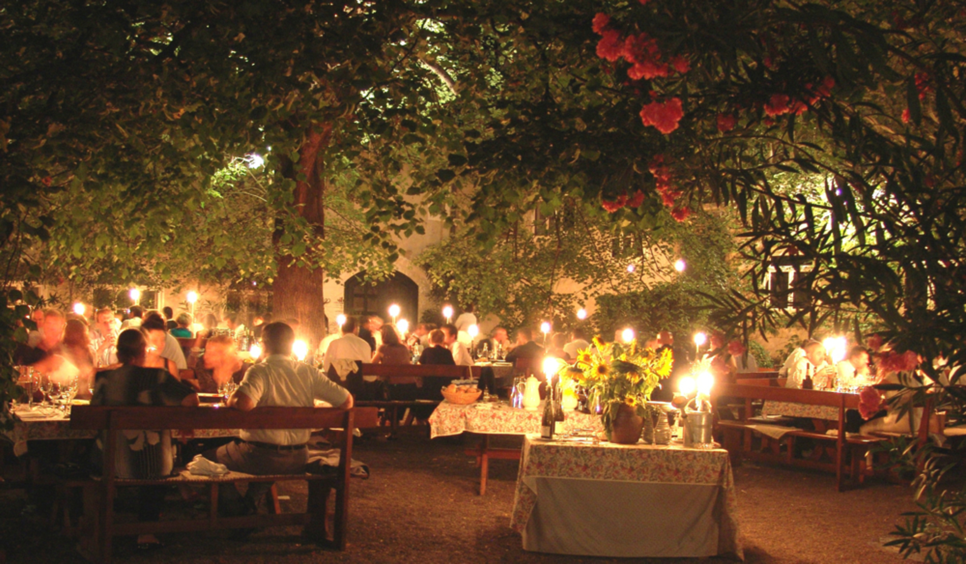 Abendstimmung an der Kaiserlinde im Nikolaihof Wachau. Zahlreiche Gäste sitzen bei stimmungsvoller Beleuchtung in entspannter Atmospähre unter einem dichten Blätterdach.