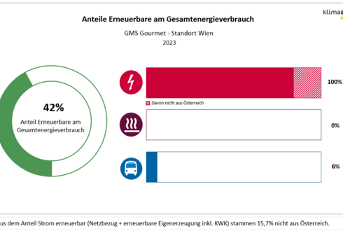 Anteil Erneuerbare am Gesamtenergieverbrauch 2023, GMS Standort Wien