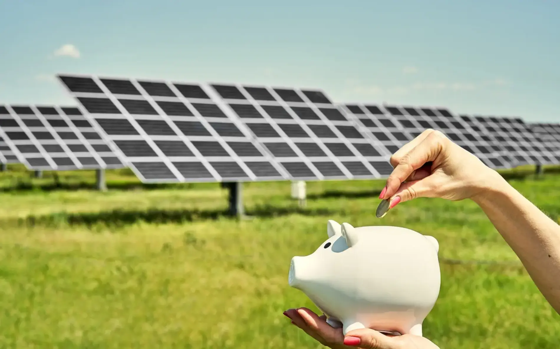 eine Frauenhand wirft Geld in ein Sparschwein, im Hintergrund Agri-PV