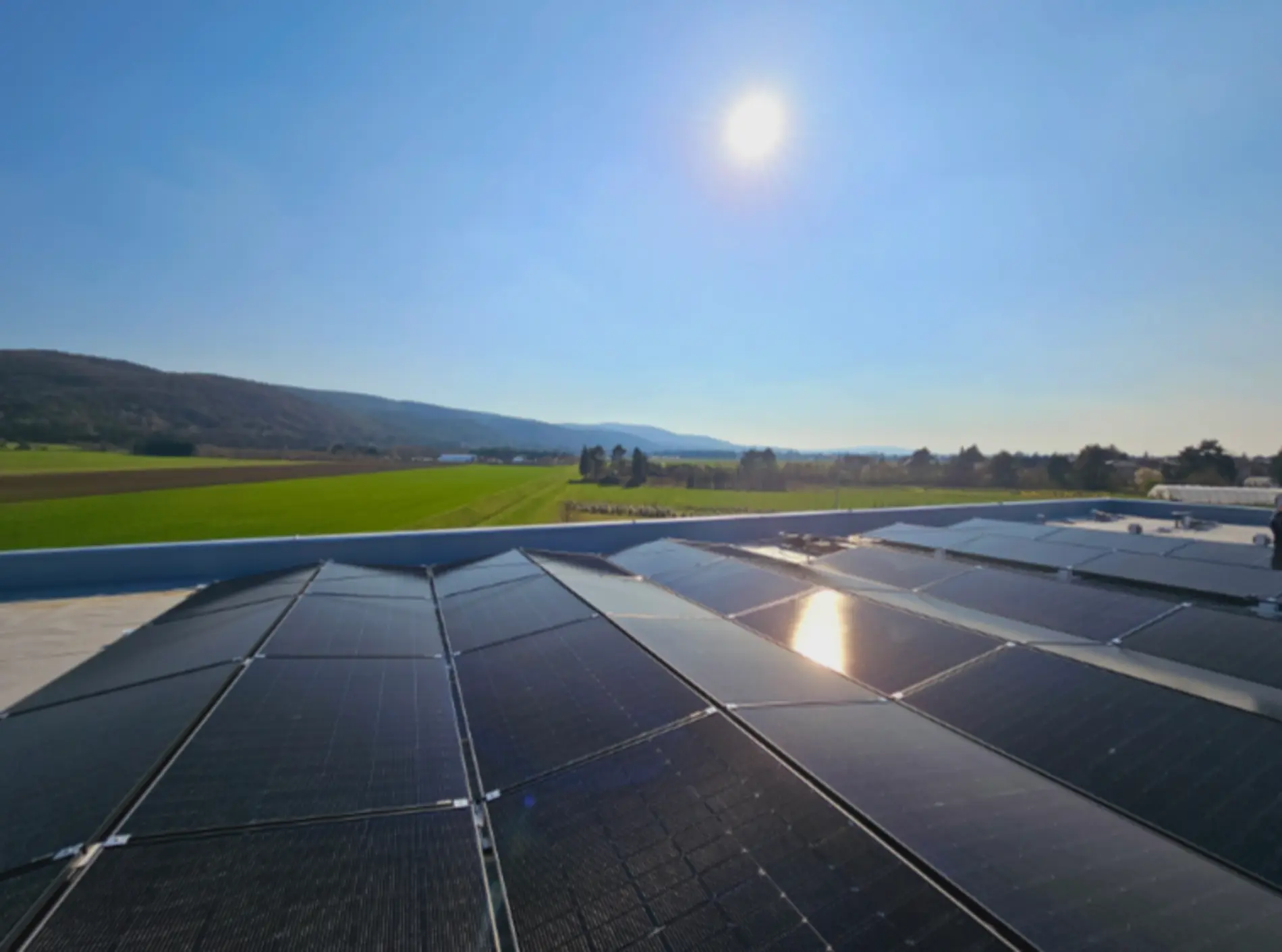 Solarmodule auf einem Flachdach, im Hintergrund grüne Felder und Hügel unter klarem blauem Himmel mit strahlender Sonne.