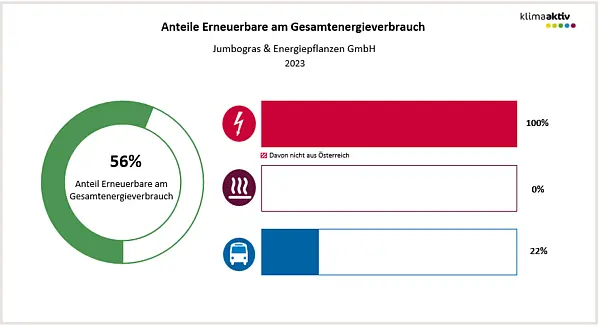 Abbildung 2: Anteil Erneuerbare am Gesamtenergieverbrauch und in den Bereichen Strom, Wärme und Transport 2023