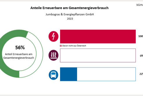Abbildung 2: Anteil Erneuerbare am Gesamtenergieverbrauch und in den Bereichen Strom, Wärme und Transport 2023