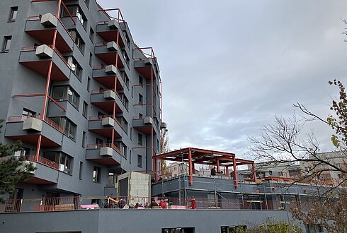 Neubau Wohnhausanlage Hoefftgasse