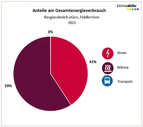 Aufteilung Gesamtenergieverbrauch 2023, Standort Feldkirchen