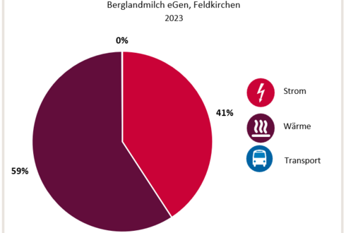 Aufteilung Gesamtenergieverbrauch 2023, Standort Feldkirchen