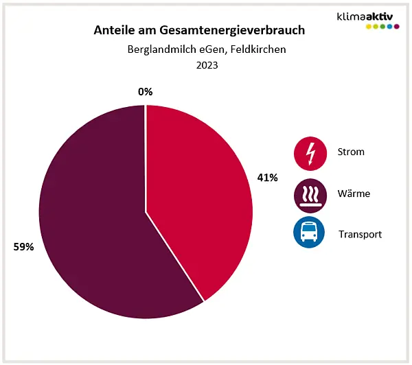 Aufteilung Gesamtenergieverbrauch 2023, Standort Feldkirchen