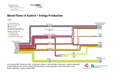 Wood Flows in Austria 2022 - energy production
