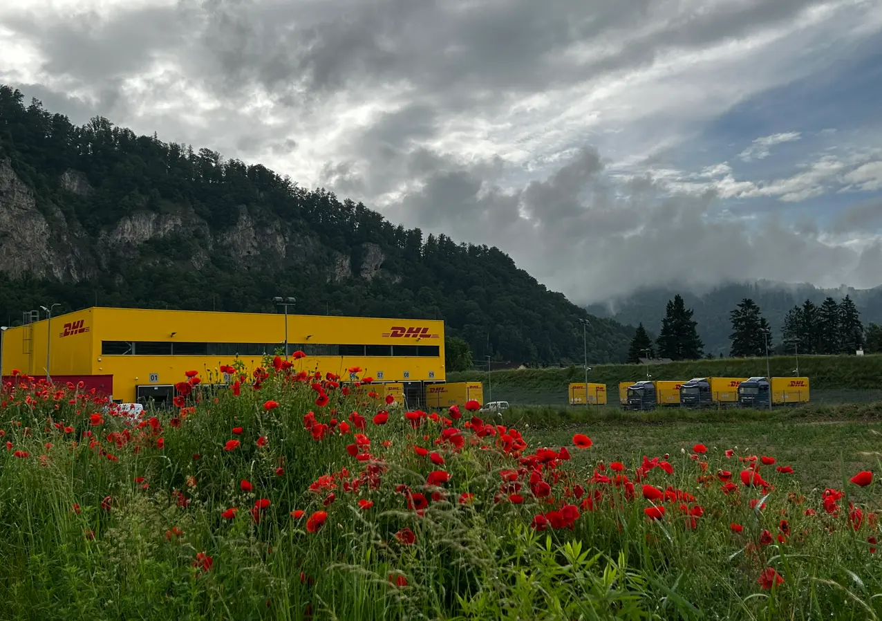 DHL-Logistikzentrum in gelber Farbe vor bewaldeten Hügeln, mit roten Mohnblumen im Vordergrund und mehreren DHL-Lkw im Hintergrund unter bewölktem Himmel.