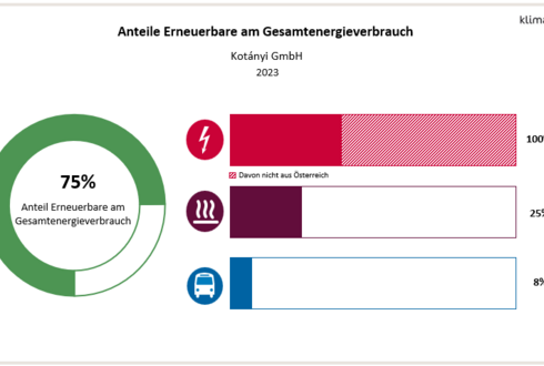 Abbildung 2: Anteil Erneuerbare am Gesamtenergieverbrauch und in den Bereichen Strom, Wärme und Transport 2023