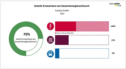 Abbildung 2: Anteil Erneuerbare am Gesamtenergieverbrauch und in den Bereichen Strom, Wärme und Transport 2023