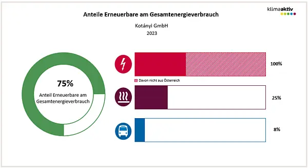 Abbildung 2: Anteil Erneuerbare am Gesamtenergieverbrauch und in den Bereichen Strom, Wärme und Transport 2023